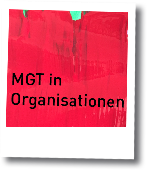 mgt in organisationen